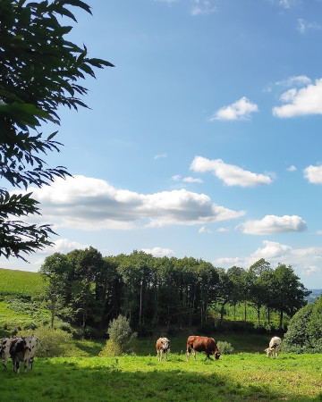Natuur